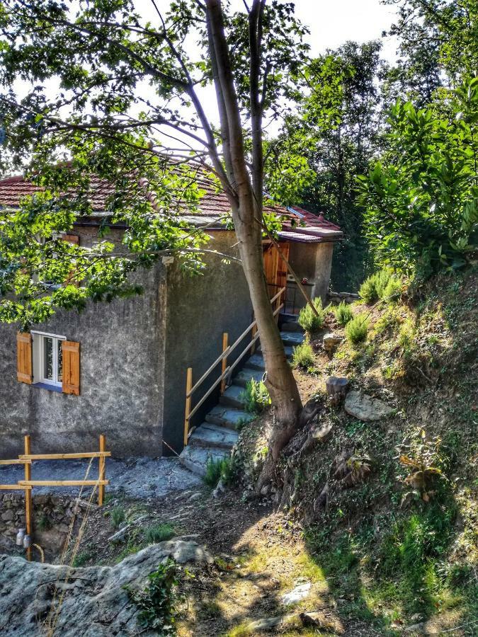 Berzuaia Bed & Breakfast Varazze Exterior foto